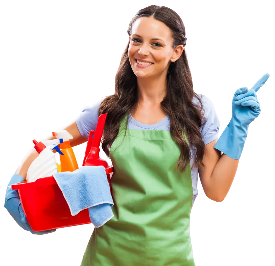 Cleaning Services Cleaning Services